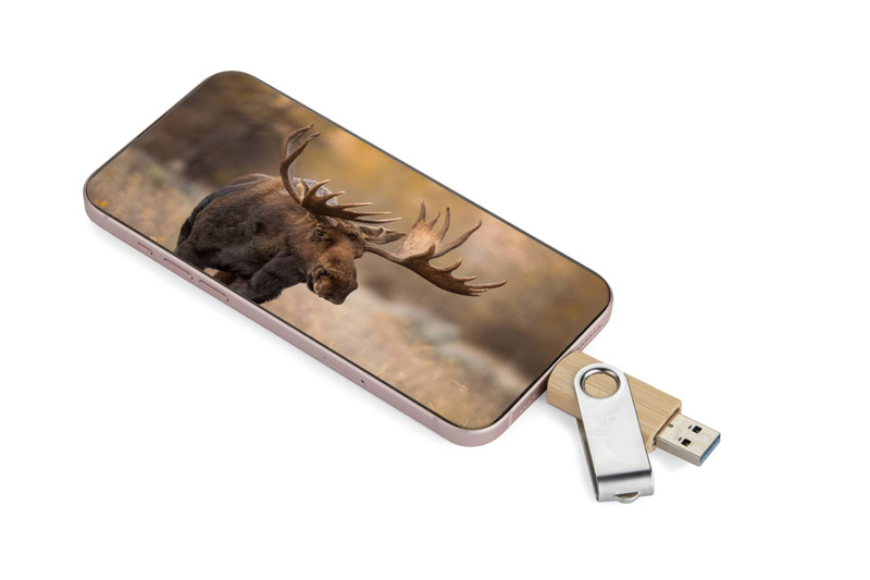 USB Flash Drive 3.0 OTG TWISTER-PRO 32GB - Image 6